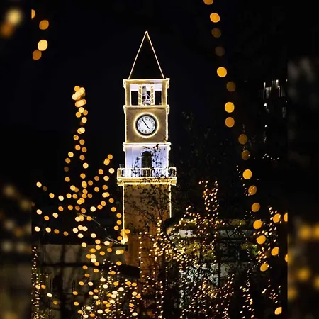 酒店 Millenium 地拉那