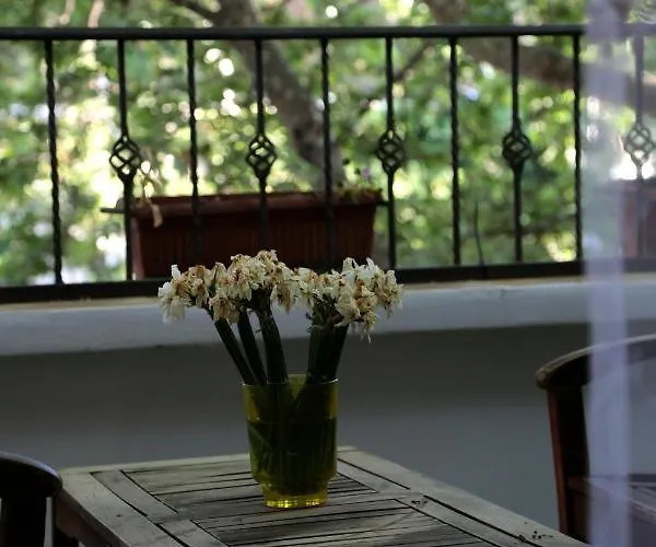 Millenium Тирана